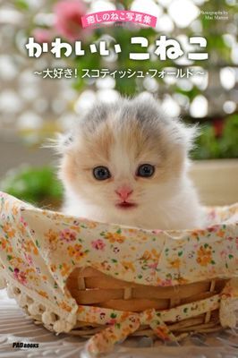 癒しのねこ写真集 かわいいこねこ ~大好き! スコティッシュ・フォールド~