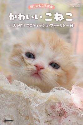 癒しのねこ写真集 かわいいこねこ ~大好き! スコティッシュ・フォールド~ 2