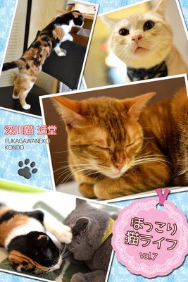 ほっこり猫ライフ vol.7