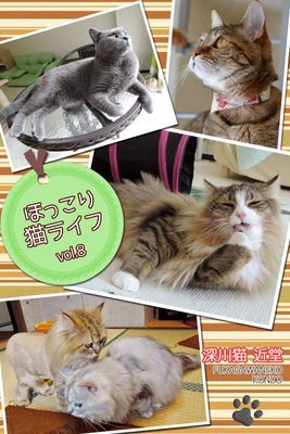 ほっこり猫ライフ vol.8