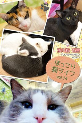 ほっこり猫ライフ vol.14