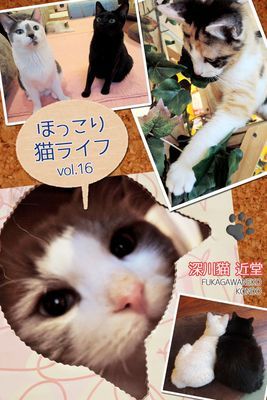 ほっこり猫ライフ vol.16