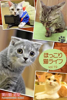 ほっこり猫ライフ vol.19