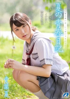 作品封面
