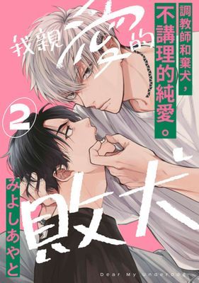 作品封面