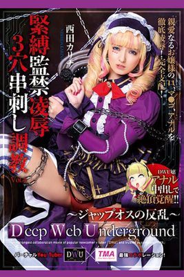 緊縛監禁凌辱3穴串刺し調教 Vol.4 / 西田カリナ