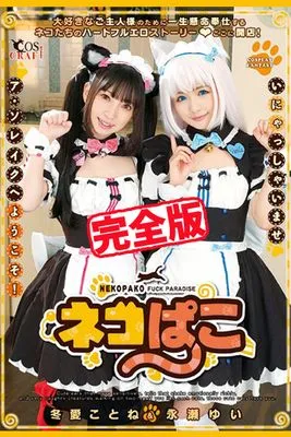 作品封面