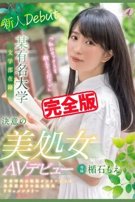 作品封面