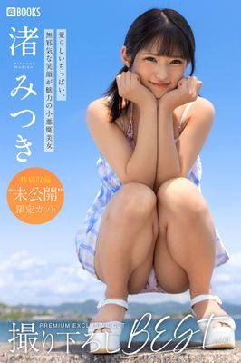 作品封面