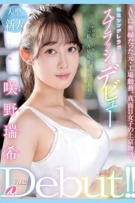 作品封面