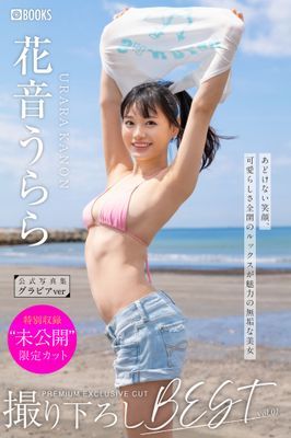 作品封面