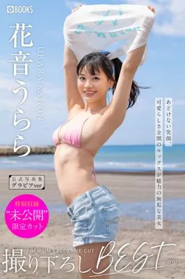 作品封面