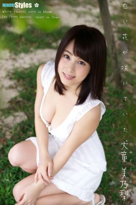 作品封面