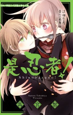 作品封面