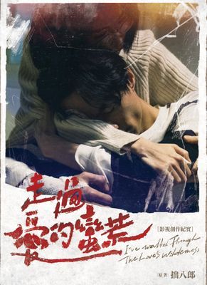 走過愛的蠻荒：影視創作紀實