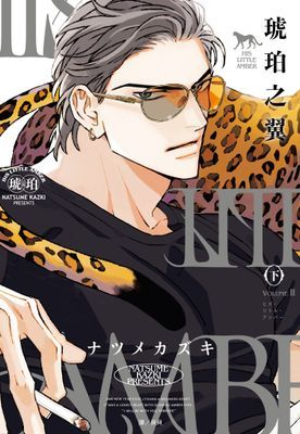 HIS LITTLE AMBER—琥珀之翼—