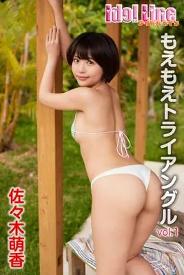 作品封面