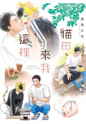 貓田、來我這裡