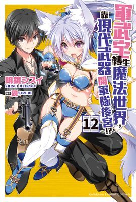軍武宅轉生魔法世界，靠現代武器開軍隊後宮!?