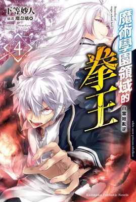 魔術學園領域的拳王