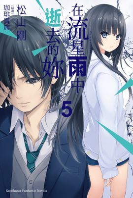 在流星雨中逝去的妳