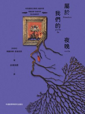 屬於我們的夜晚