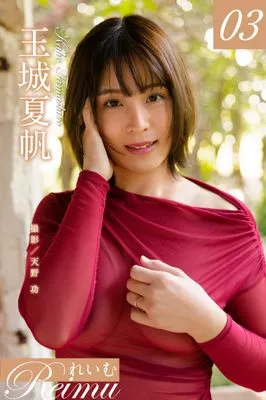作品封面