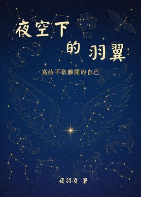 夜空下的羽翼