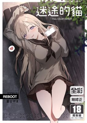 迷途的貓