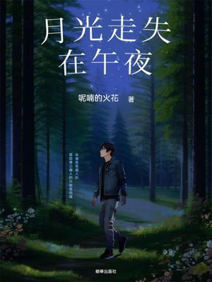 月光走失在午夜