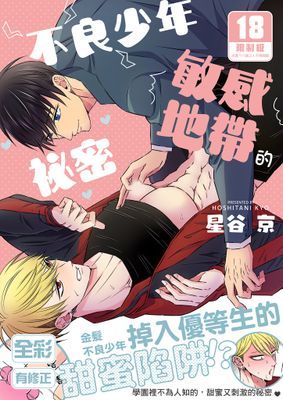 不良少年敏感地帶的祕密