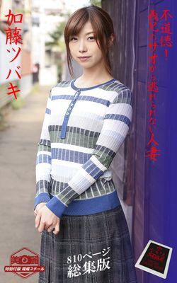 【ながえSTYLE 淫靡ストーリー写真集】 不道徳！ 義兄のサオから逃れられない人妻 総集版　加藤ツバキ