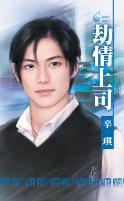 劫情上司~都會童話之一