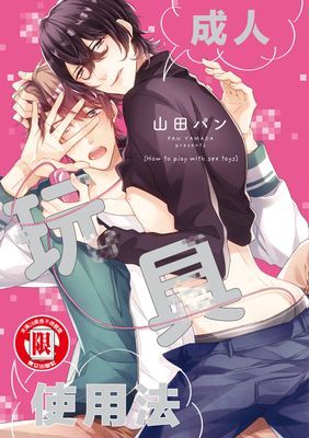 成人玩具使用法 (全)