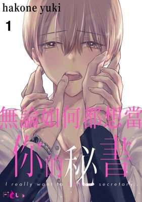 無論如何都想當你的秘書