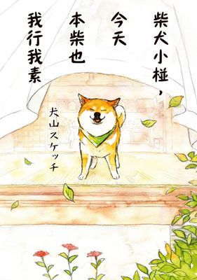 柴犬小椪,今天本柴也我行我素