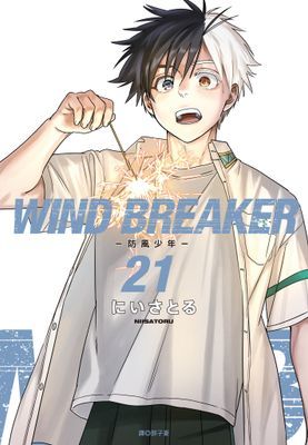 WIND BREAKER—防風少年—