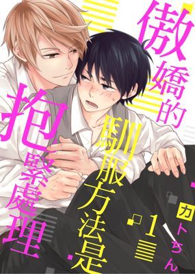 傲嬌的馴服方法是抱緊處理