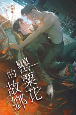 作品封面