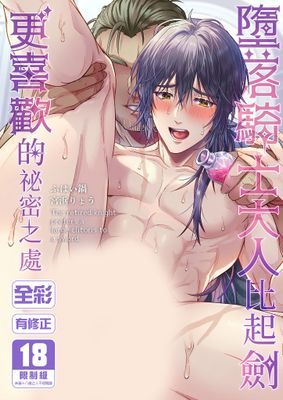 墮落騎士大人比起劍更喜歡的祕密之處