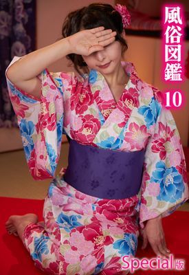 風俗図鑑10 Special版