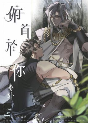 作品封面