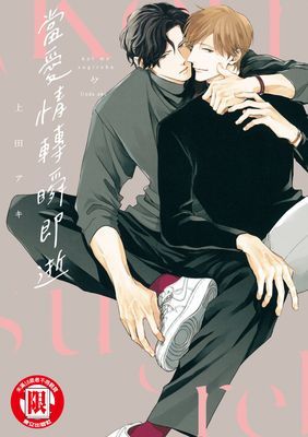 作品封面