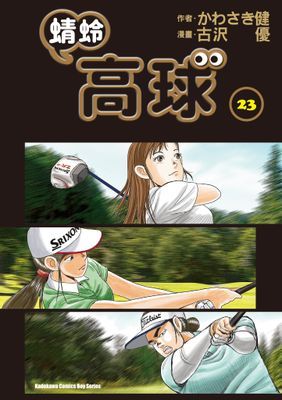 作品封面