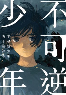 不可逆少年
