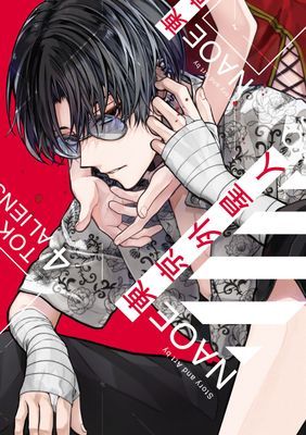 作品封面