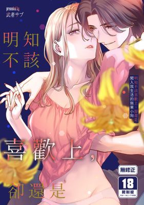 作品封面