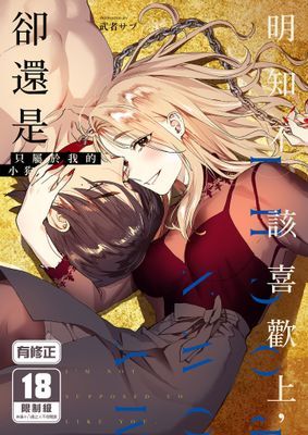 作品封面