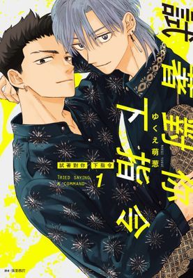 作品封面