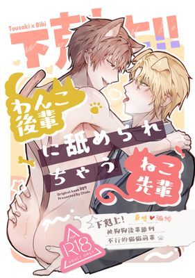 作品封面